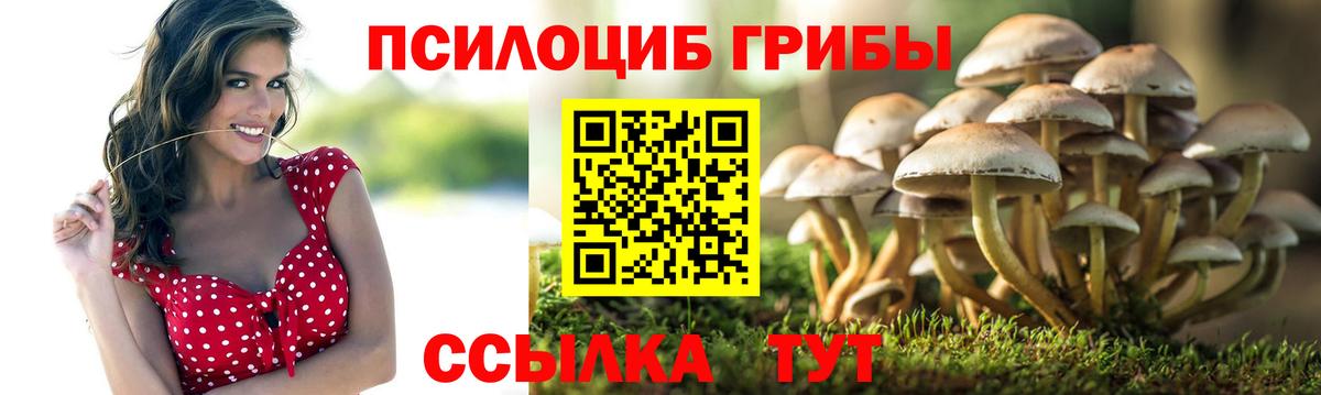 Псилоцибиновые грибы ЛСД Верхняя Пышма